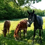De La Noyelle A En Melantois Sainghin-en-Mélantois