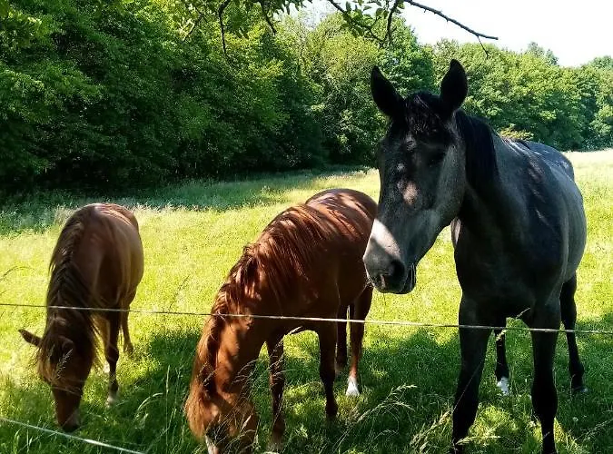 De La Noyelle à En Mélantois Sainghin-en-Mélantois